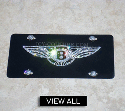 Custom Crystallized License Plates by ICY Couture