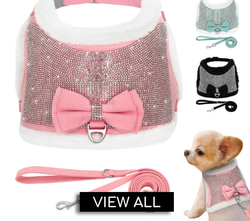 Cute Rhinestone Collars and Harnesses for Dogs - ICY Couture