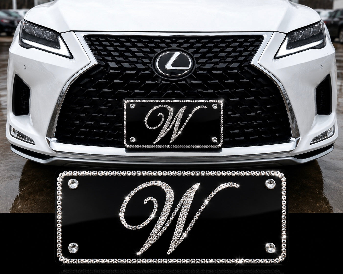 Su placa de matrícula de cristal con logotipo empresarial personalizado