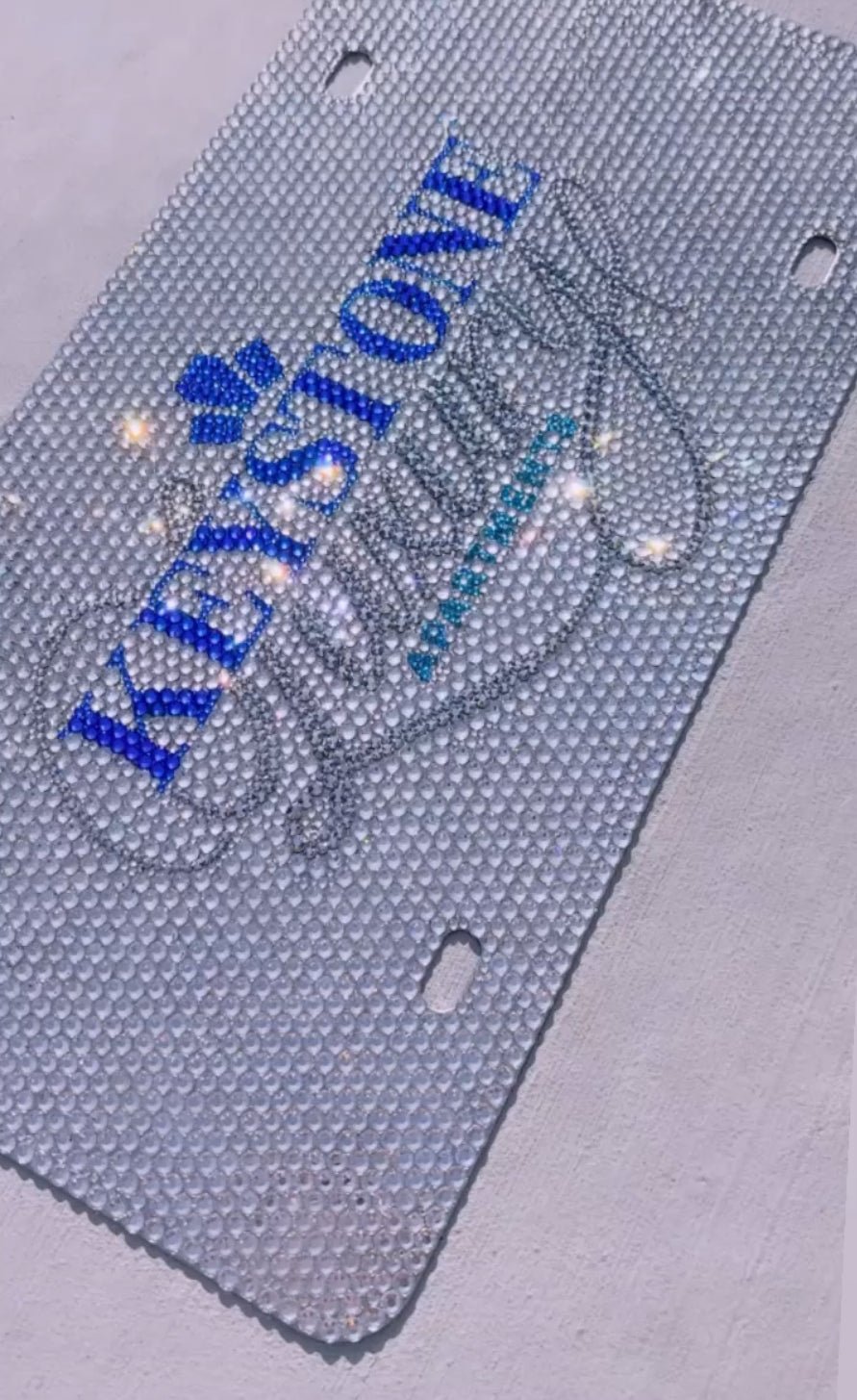 Custom Logo FULLY CRYSTALLIZED License Plate - ICY Couture