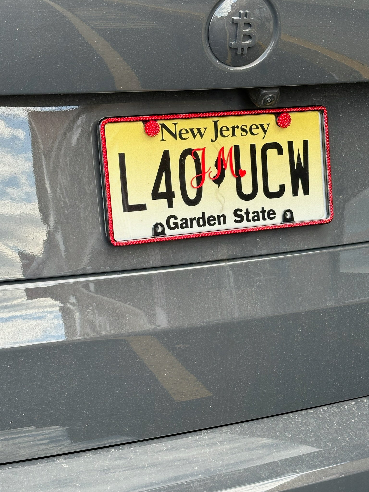 Slim Rim License Plate Frame Crystallized in Light Siam Swarovski Crystals with Matching crystal Screw Caps by ICY Couture