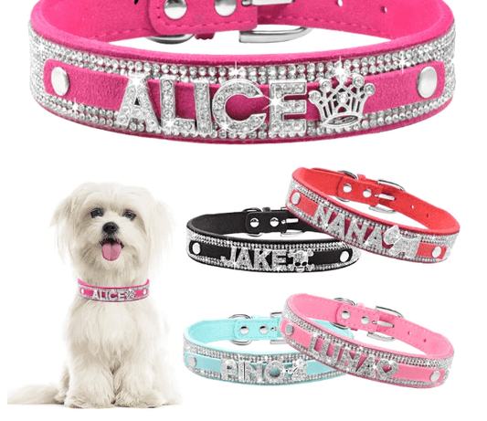 Custom Name Rhinestone Collar With Bling. - ICY Couture