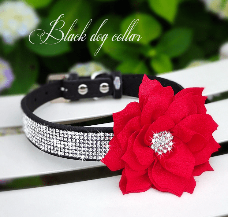 Cute Rhinestone Collar With Bling Flower. - ICY Couture