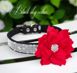 Cute Rhinestone Collar With Bling Flower. - ICY Couture