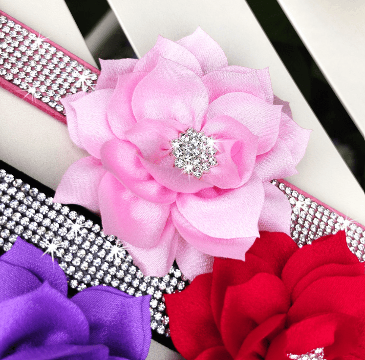 Cute Rhinestone Collar With Bling Flower. - ICY Couture