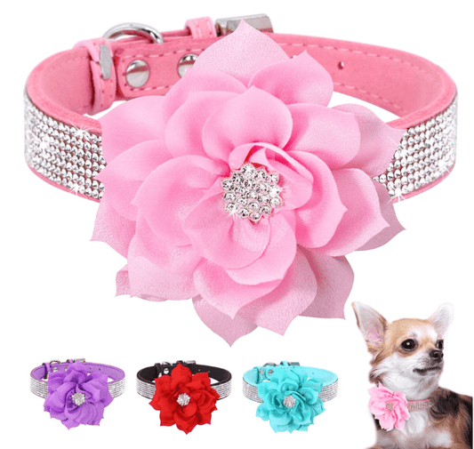 Cute Rhinestone Collar With Bling Flower. - ICY Couture