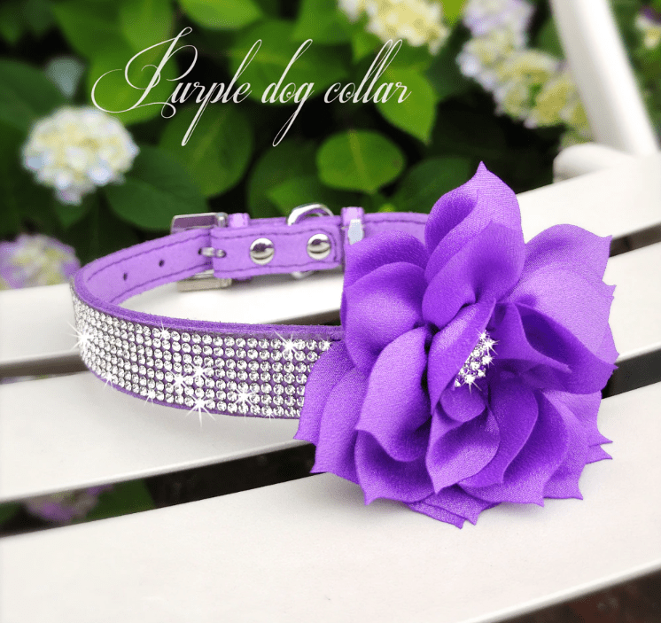 Cute Rhinestone Collar With Bling Flower. - ICY Couture