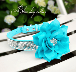 Cute Rhinestone Collar With Bling Flower. - ICY Couture