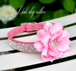 Cute Rhinestone Collar With Bling Flower. - ICY Couture