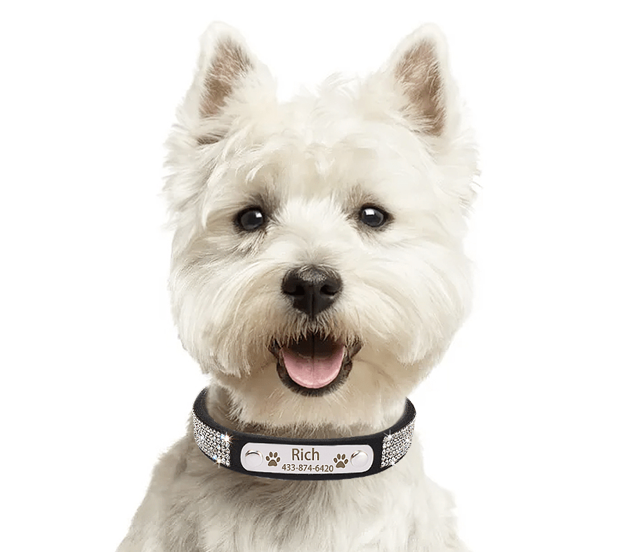 Engrave Custom Name Tag Rhinestone Collar With Bling. - ICY Couture