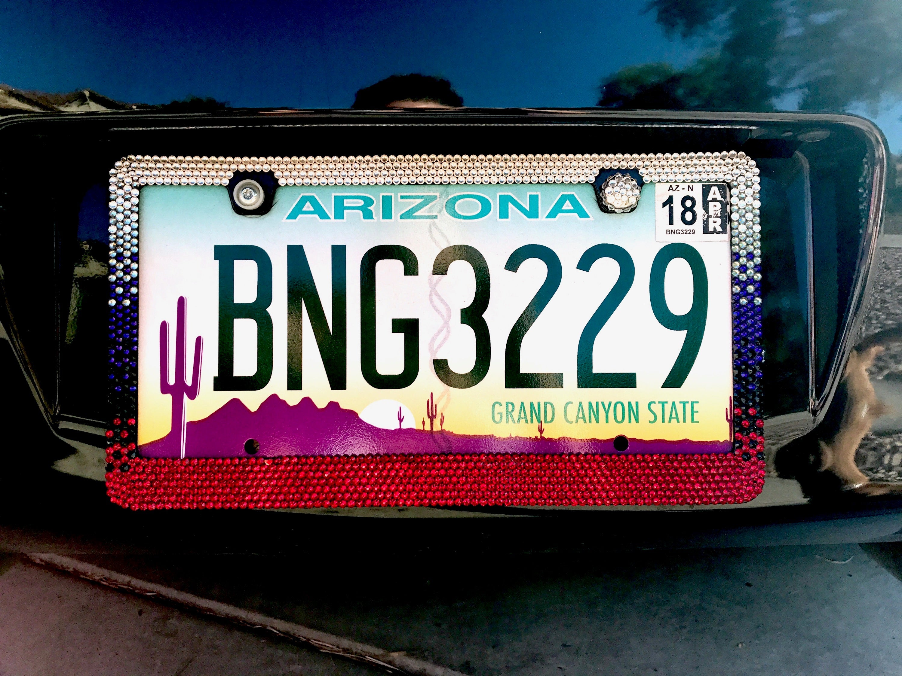 OMBRE DESIGN Crystal License Plate Frame - ICY Couture