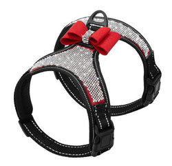 Reflective Rhinestone Dog Harness with Bling. - ICY Couture