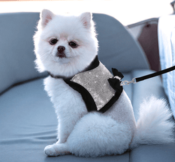 Winter Rhinestone Dog Harness Bling Coat With a Leash - ICY Couture